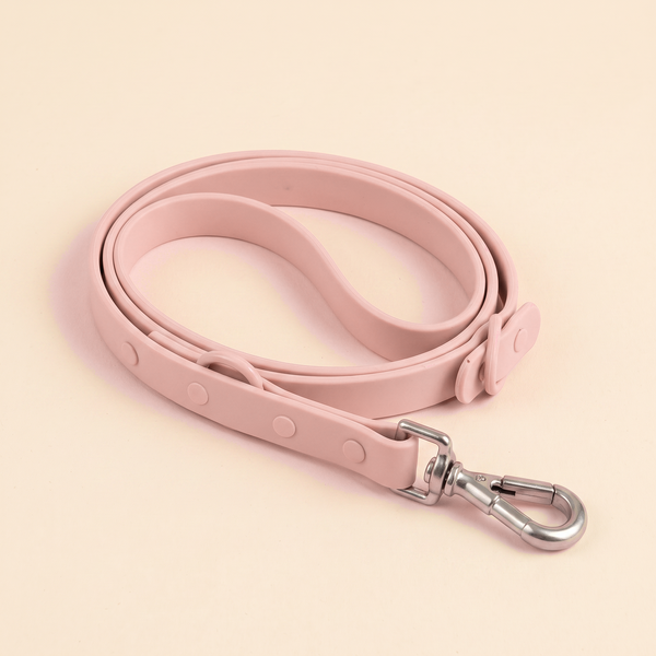 Guinzaglio Personalizzabile con Charms