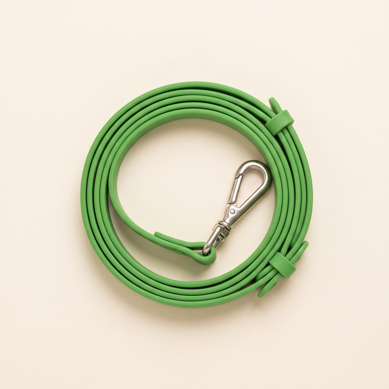 Guinzaglio VERDE