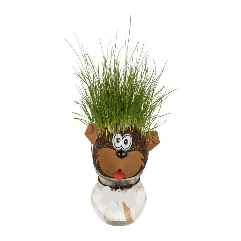 Testa di erba animale, 12,5 cm, confezione in plastica, 16 pezzi - Cane [rlz-07-n5]